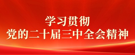 学习贯彻党的二十届三中全会精神