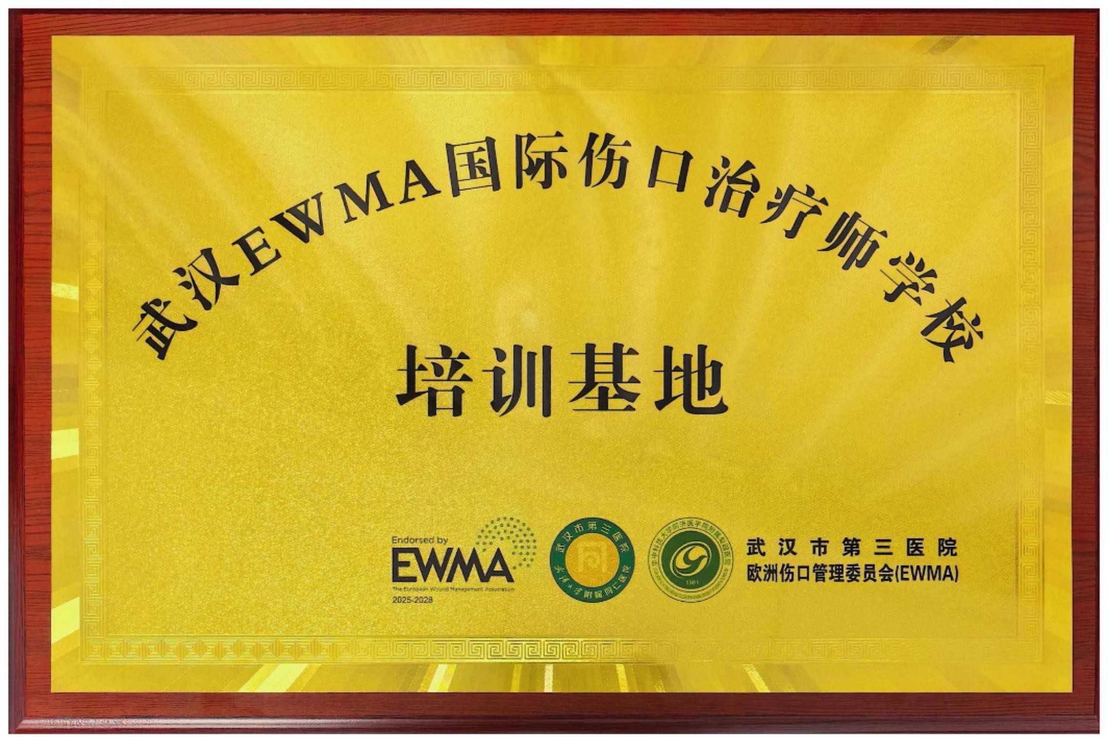 我院获批武汉EWMA国际伤口治疗师培训基地